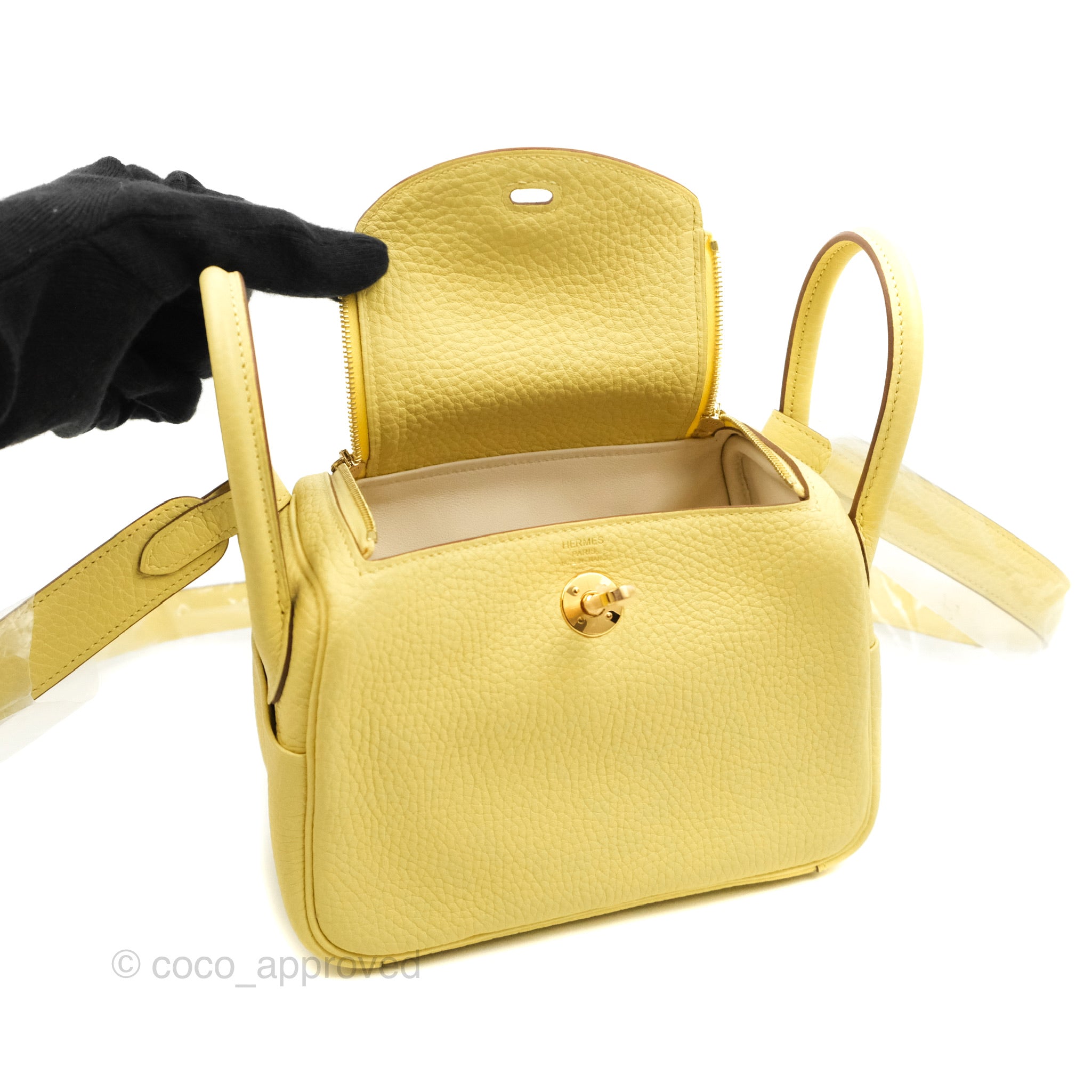 Jaune Poussin Clemence and Nata Verso Mini Lindy 20 Gold