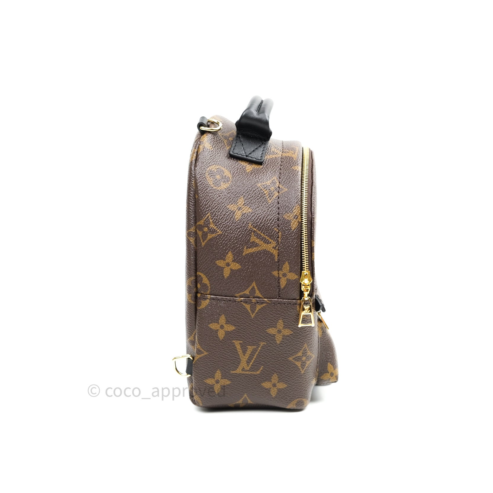 Louis Vuitton Monogram Mini Palm Springs Backpack⁣ – Coco Approved