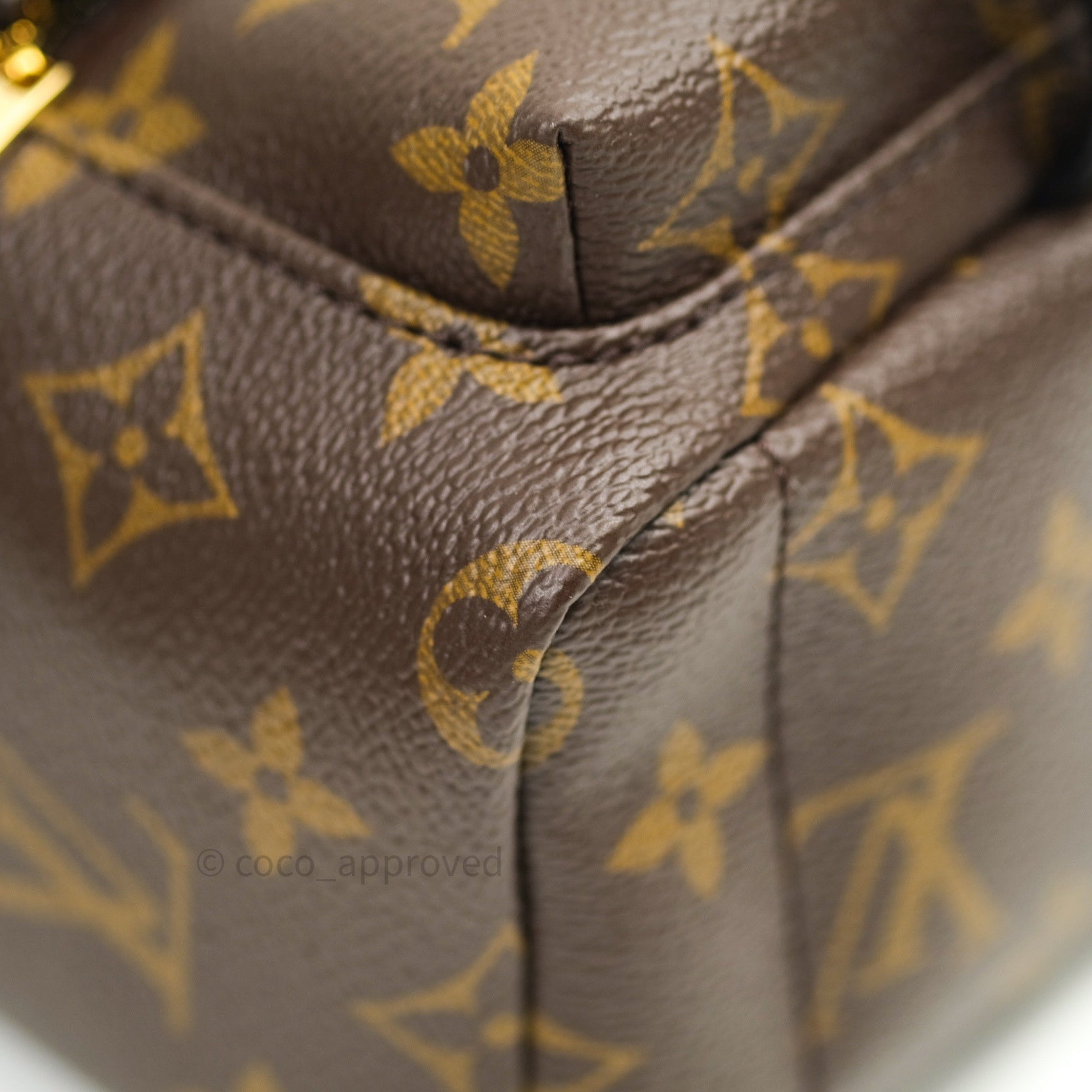 Louis Vuitton Palm Spring Mini Backpack Classic Monogram – ＬＯＶＥＬＯＴＳＬＵＸＵＲＹ