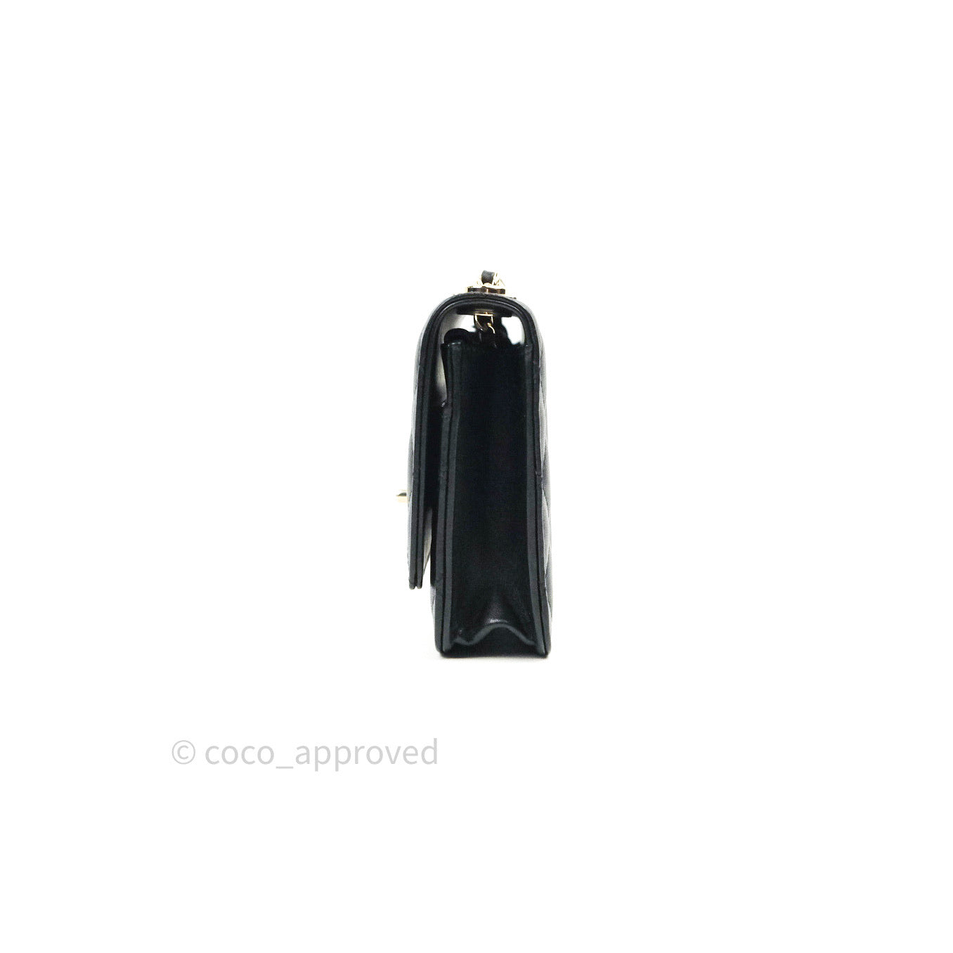 100% Authentic Designers Branded Luxury Bag WOC, Large So Black