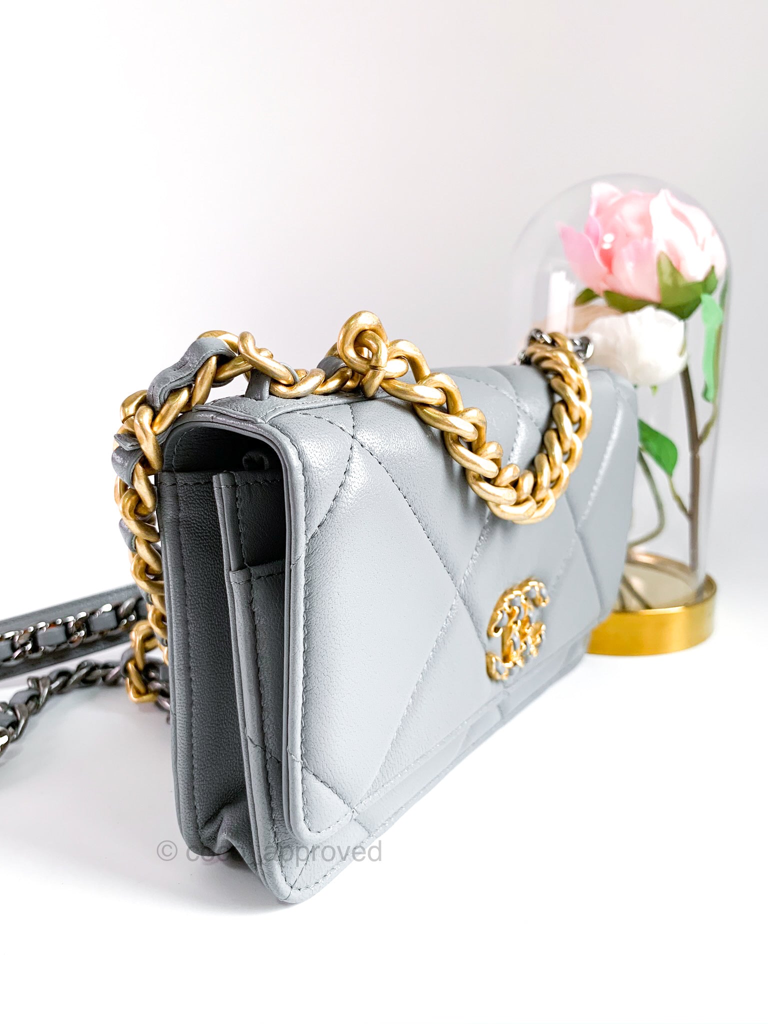 Chanel 19 WOC With Coin Purse, Bragmybag