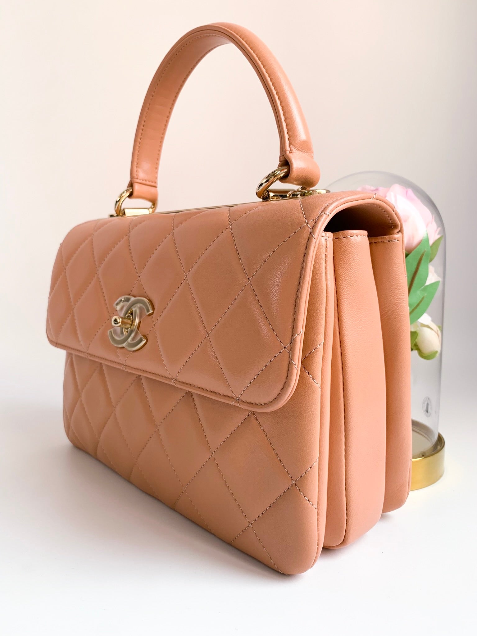 Chanel Trendy CC Flap Bag  TIỆP COLOUR