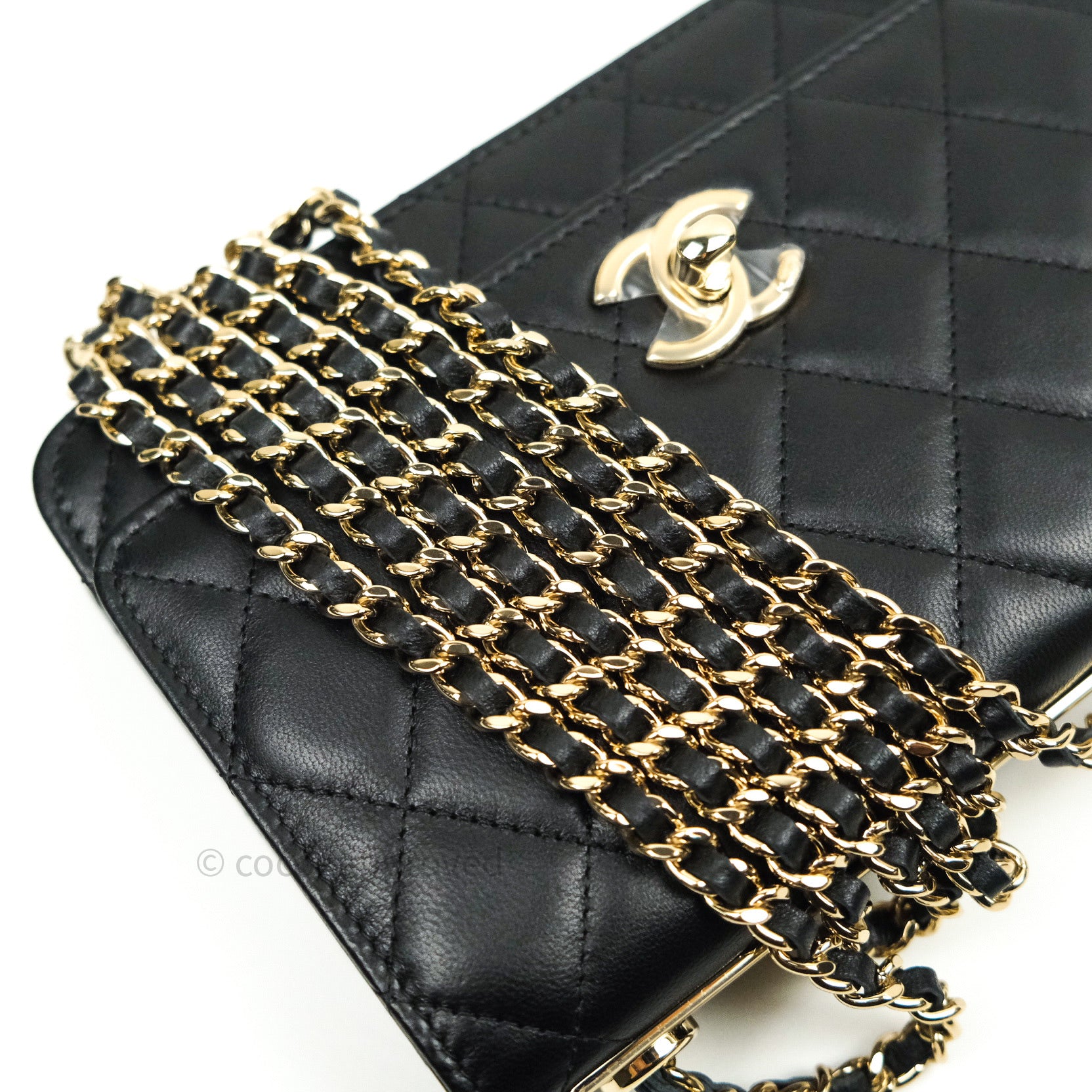 Chanel Trendy CC Shoulder bag 359833