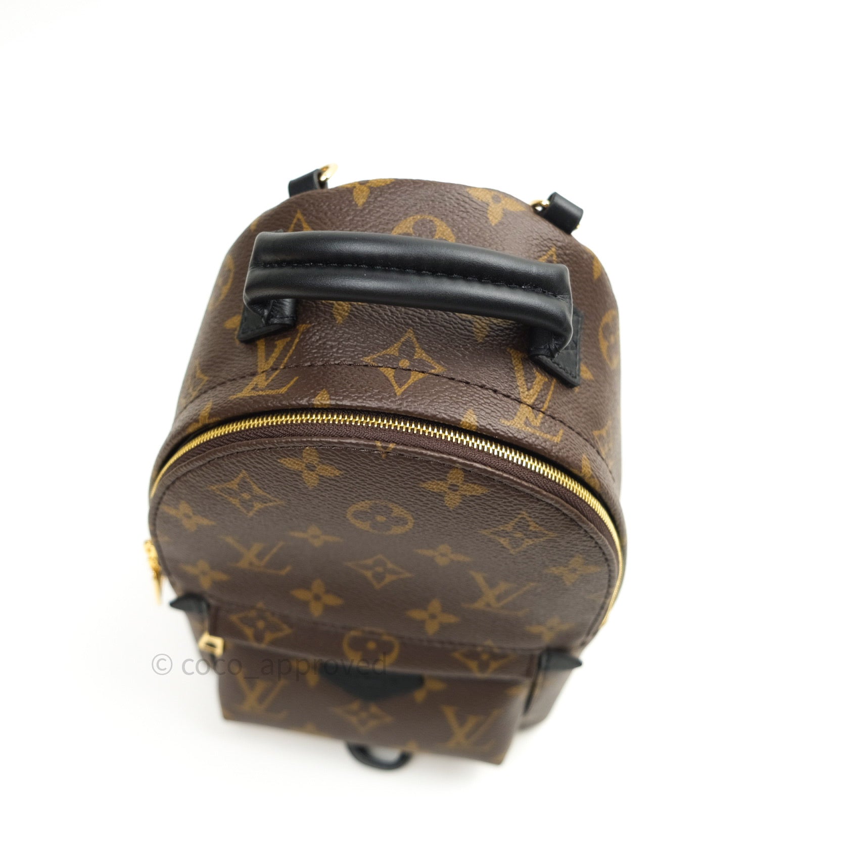 Louis Vuitton Reverse Mini Palm Springs Backpack⁣ – Coco Approved Studio