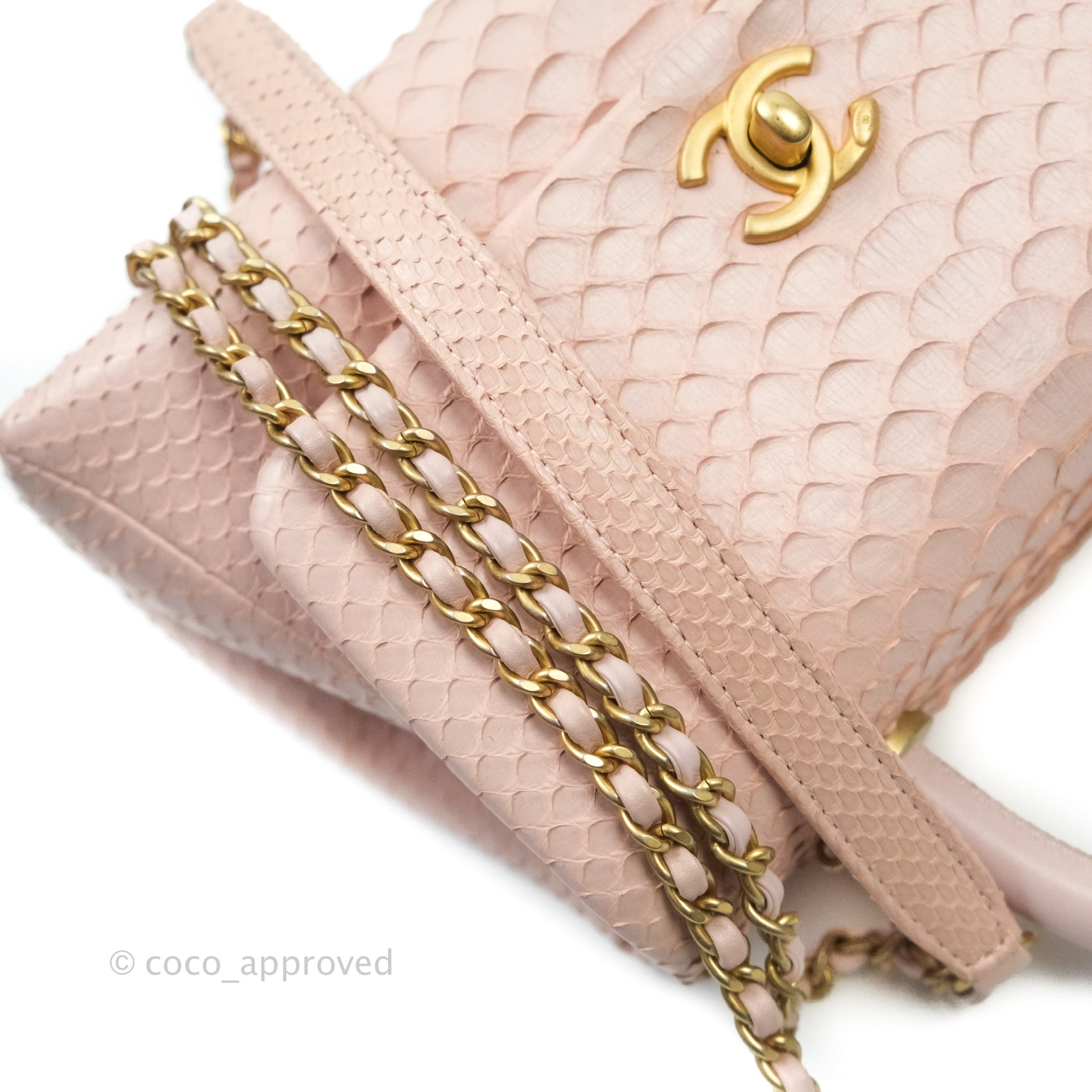Never Worn Chanel Mini Coco Handle Python Bag ○ Labellov ○ Buy and Sell  Authentic Luxury