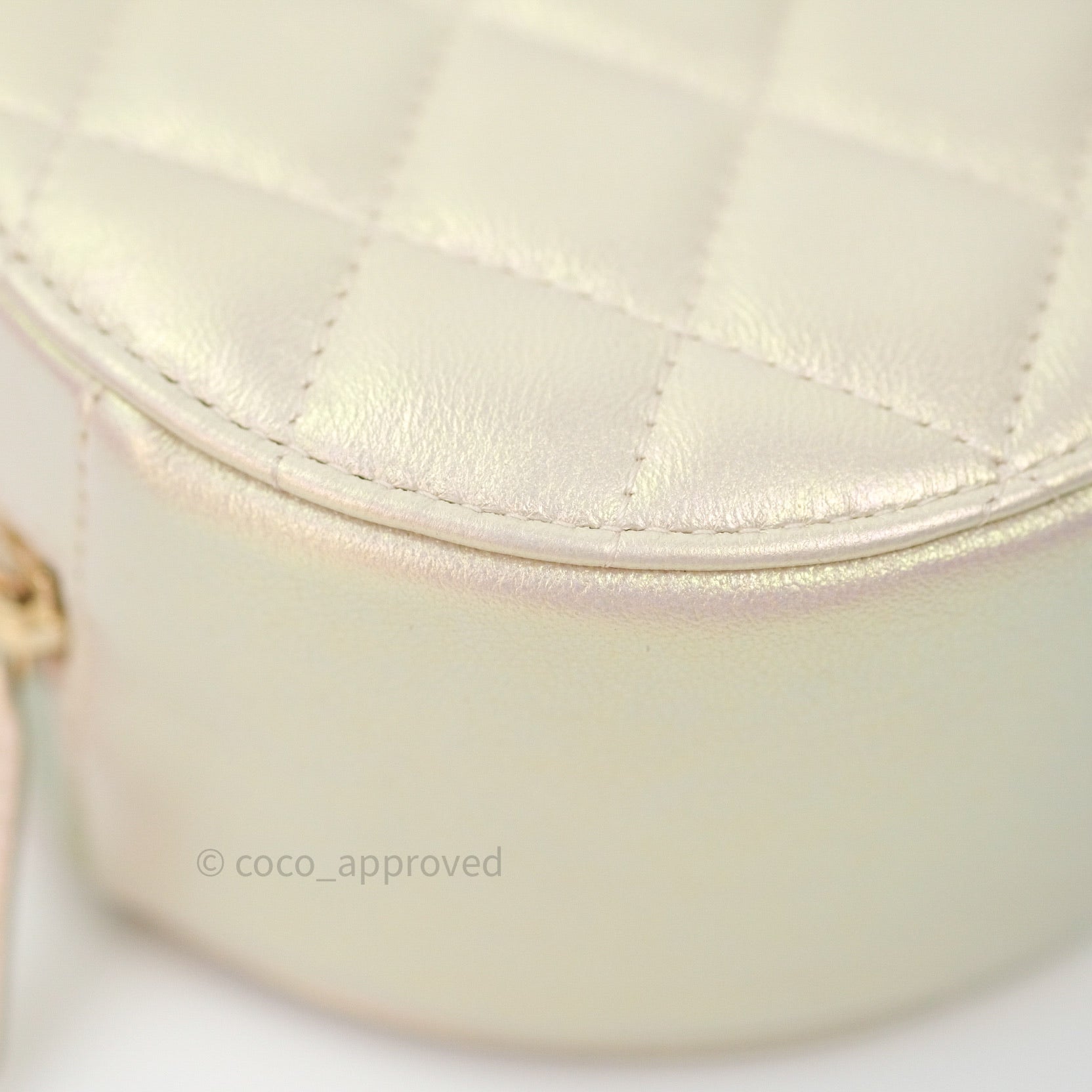 Chanel Iridescent Bag - 66 For Sale on 1stDibs
