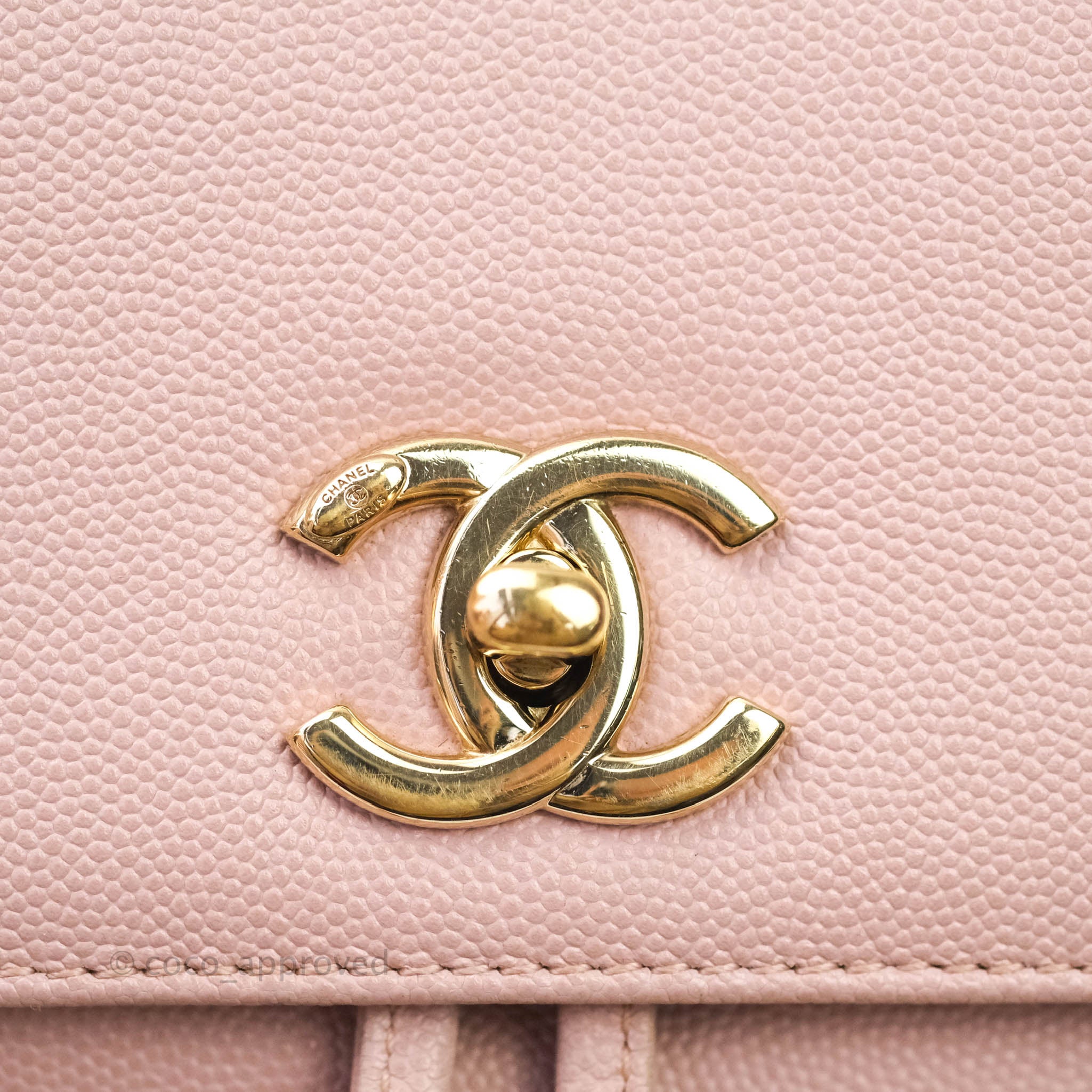 Chanel Beige Caviar & Python Business Affinity Backpack